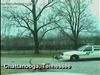 RAW: Dog viciously attacks police car